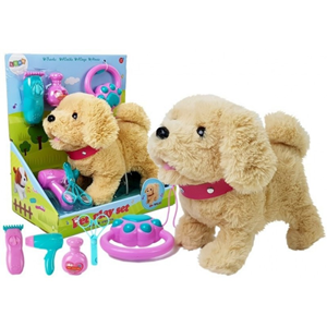 سگ کنترلی سخنگو و موزیکال قهوه ای Pet Play Set Toys_اسباب بازی